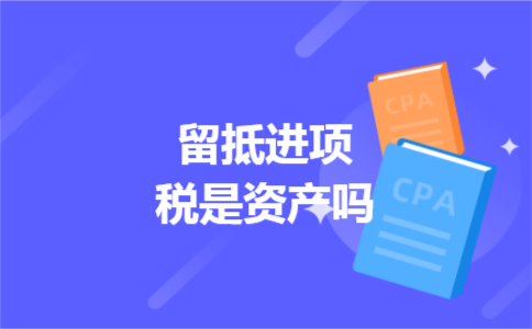 留抵进项税是资产吗