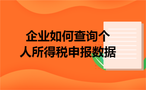 企业如何查询个人所得税申报数据