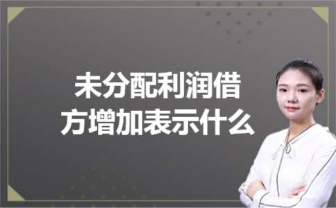 未分配利润借方增加表示什么