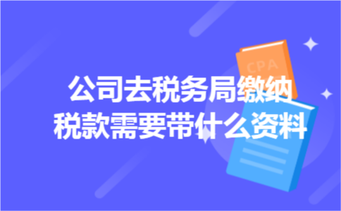 公司去税务局缴纳税款需要带什么资料