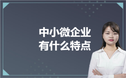 中小微企业有什么特点