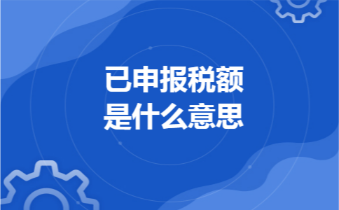  已申报税额是什么意思