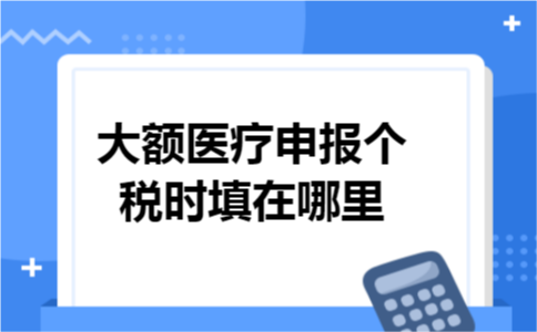 大额医疗申报个税时填在哪里