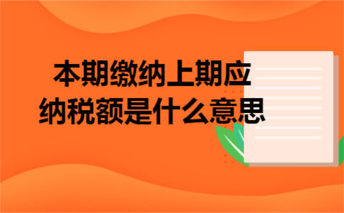 本期缴纳上期应纳税额是什么意思