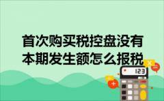 首次购买税控盘没有本期发生额怎么报税