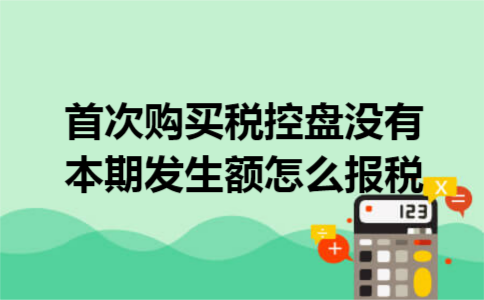 首次购买税控盘没有本期发生额怎么报税 首次购买税控盘没有本期发生额怎么报税