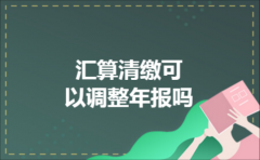 汇算清缴可以调整年报吗