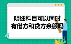 明细科目可以同时有借方和贷方余额吗