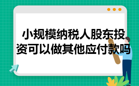 小规模纳税人股东投资可以做其他应付款吗 小规模纳税人股东投资可以做其他应付款吗