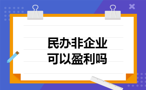 民办非企业可以盈利吗
