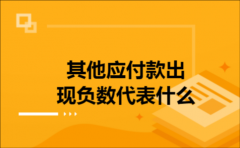 其他应付款出现负数代表什么
