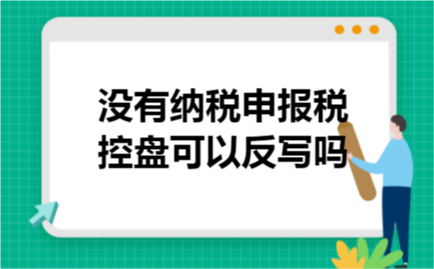 没有纳税申报税控盘可以反写吗