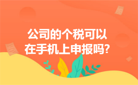 公司的个税可以在手机上申报吗?