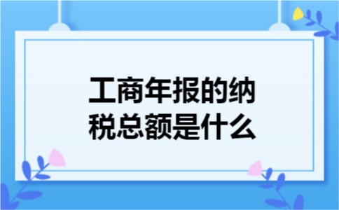 工商年报的纳税总额是什么