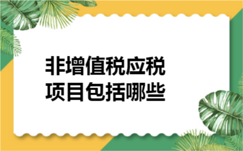 非增值税应税项目包括哪些