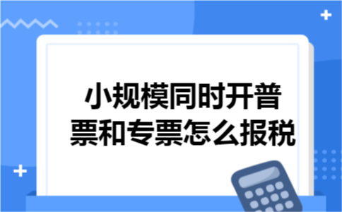 小规模同时开普票和专票怎么报税