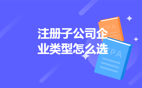 注册子公司企业类型怎么选