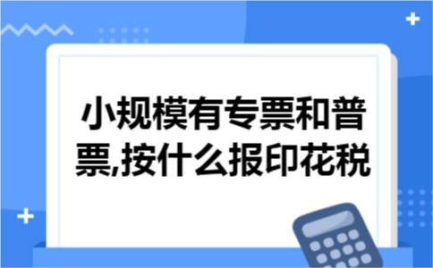 小规模有专票和普票,按什么报印花税