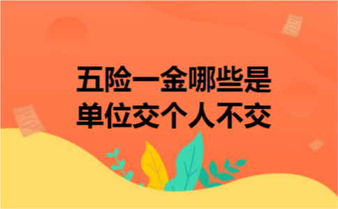 五险一金哪些是单位交个人不交