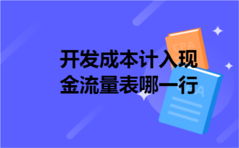 开发成本计入现金流量表哪一行