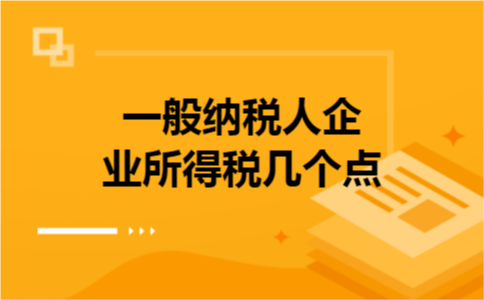 一般纳税人企业所得税几个点 一般纳税人企业所得税几个点