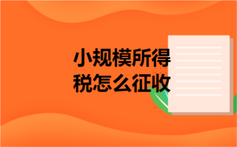 小规模所得税怎么征收