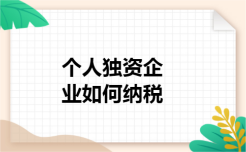 个人独资企业如何纳税