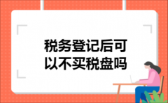 税务登记后可以不买税盘吗
