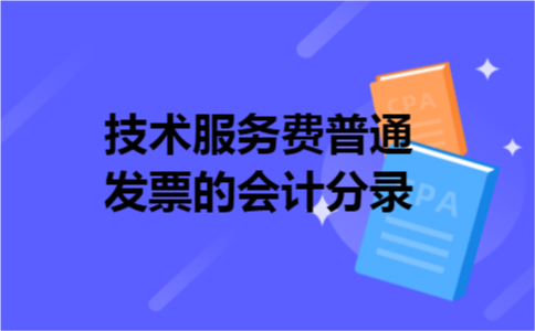 技术服务费普通发票的会计分录 技术服务费普通发票的会计分录
