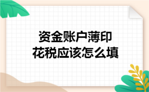 资金账户薄印花税应该怎么填