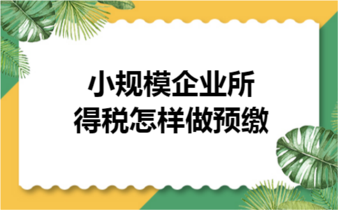 小规模企业所得税怎样做预缴