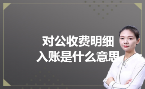对公收费明细入账是什么意思