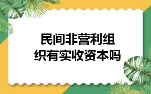 民间非营利组织有实收资本吗