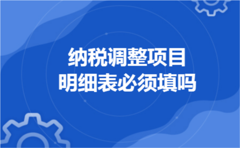 纳税调整项目明细表必须填吗
