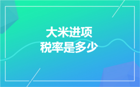 大米进项税率是多少