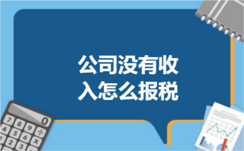 公司没有收入怎么报税