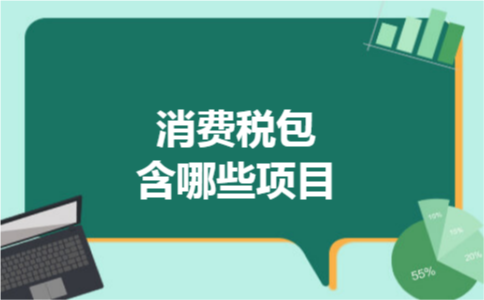 消费税包含哪些项目