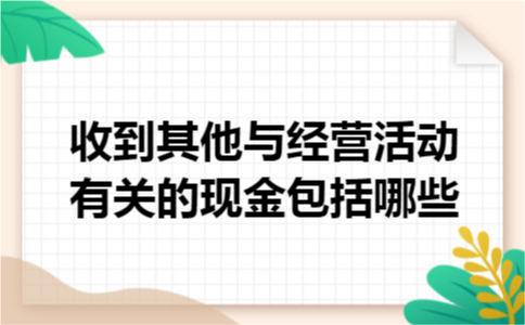 收到其他与经营活动有关的现金包括哪些