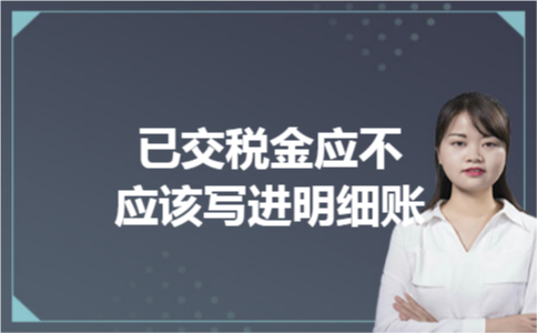 已交税金应不应该写进明细账