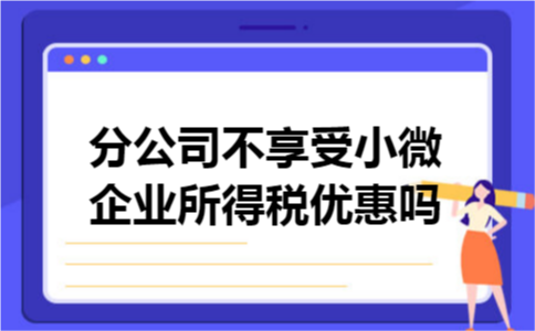 分公司不享受小微企业所得税优惠吗