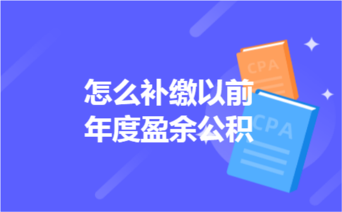 怎么补缴以前年度盈余公积 怎么补缴以前年度盈余公积