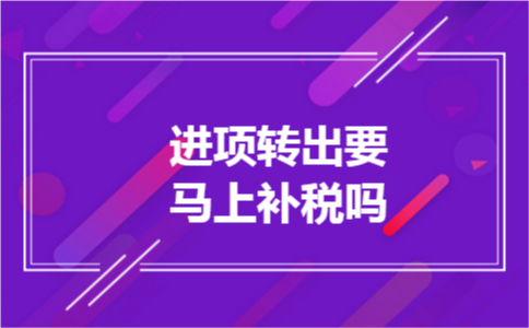 进项转出要马上补税吗