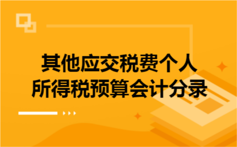 其他应交税费个人所得税预算会计分录