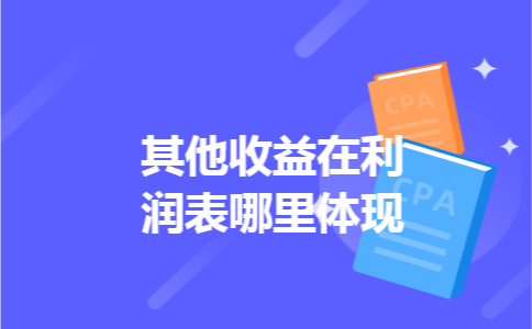 其他收益在利润表哪里体现