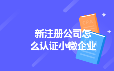 新注册公司怎么认证小微企业