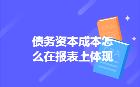 债务资本成本怎么在报表上体现