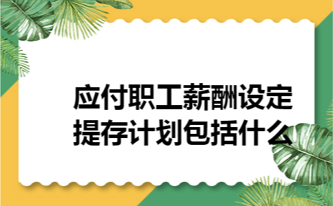 应付职工薪酬设定提存计划包括什么