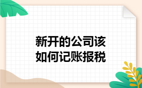 新开的公司该如何记账报税