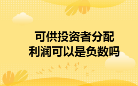 可供投资者分配利润可以是负数吗