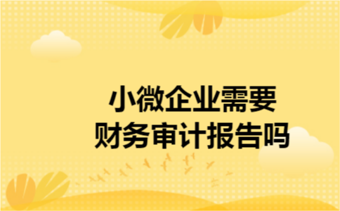 小微企业需要财务审计报告吗